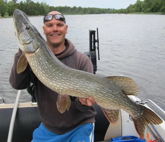 Rad Dog Spinnerbait - Ruff Tackle 2 Rad Dog Spinnerbait - Ruff Tackle - Image 2