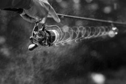 Shimano Stella FK -Kalastusvälineet STL1000FKr 6